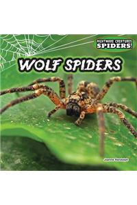 Wolf Spiders