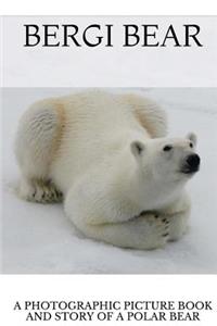 Bergi Bear