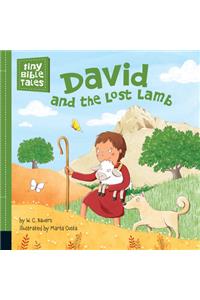 David and the Lost Lamb