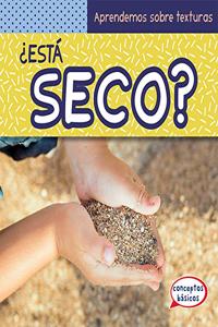 ¿Está Seco? (What Is Dry?)