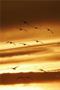 A Flock of Birds at Sunset Journal