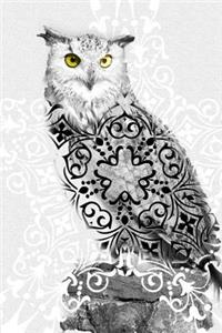 Owls