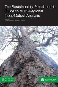 Sustainability Practitioner's Guide to Multi-Regional Input-Output Analysis