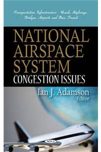 National Airspace System