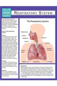 Respiratory System (Speedy Study Guide)