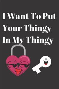 I Want To Put Your Thingy In My Thingy