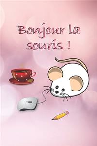 Bonjour la souris !: Joli cahier de notes avec une couverture souple et colorée. Cadeau pour anniversaire et différentes occasions. 108 pages lignées.