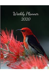 2020 Weekly Planner