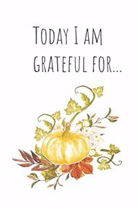 Today I am grateful for...