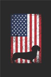 Dachshund USA