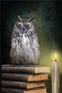 Magica Notte