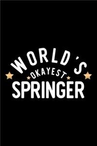 World's Okayest Springer