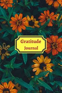 Gratitude Planner for teens and adults