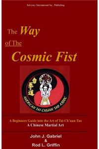 Way of the Cosmic Fist