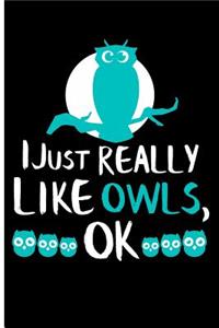 I Just Really Like Owls, Ok