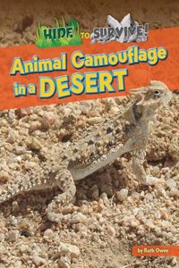 Animal Camouflage in a Desert