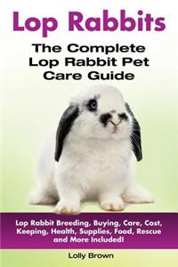 Lop Rabbits