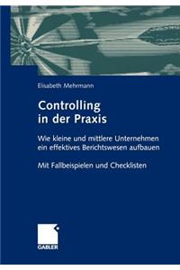 Controlling in Der PRAXIS