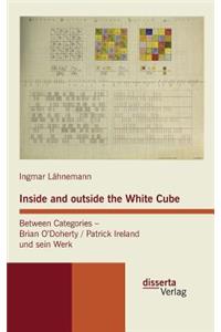 Inside and outside the White Cube. Between Categories - Brian O´Doherty / Patrick Ireland und sein Werk