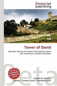 Tower of David