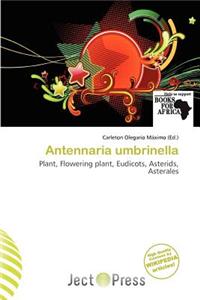 Antennaria Umbrinella