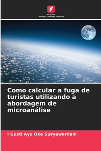 Como calcular a fuga de turistas utilizando a abordagem de microanálise