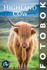 Highland Cow