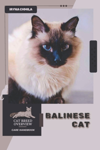 Balinese Cat