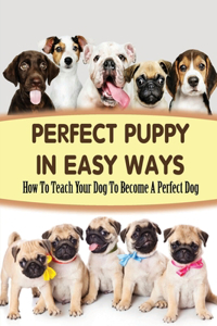 Perfect Puppy In Easy Ways