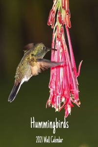Hummingbirds 2021 Wall Calendar