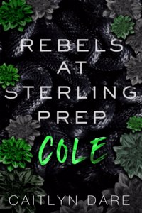 Rebels at Sterling Prep