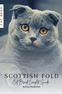 Scottish Fold