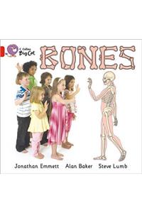Bones