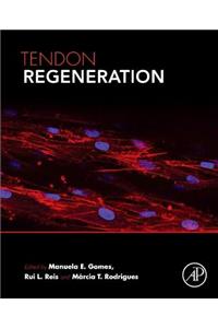 Tendon Regeneration