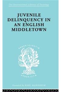 Juvenile Delinquency in an English Middle Town