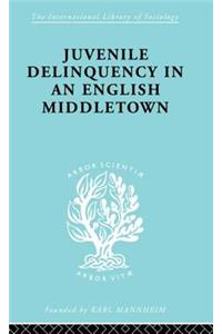 Juvenile Delinquency in an English Middle Town