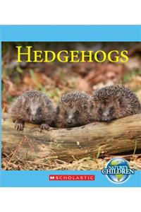 Hedgehogs (Nature's Children)