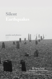 Silent Earthquakes