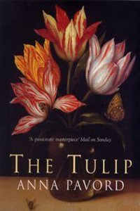 Tulip,The