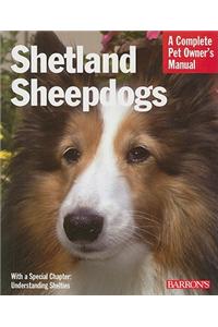 Shetland Sheepdogs