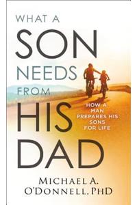 What a Son Needs from His Dad