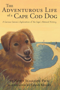 Adventurous Life of a Cape Cod Dog