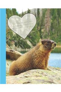 Cute Colorado Rocky Mountain Marmot Composition Wide-ruled line School Notebook Sandy Closs