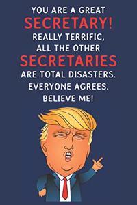 You Are A Great Secretary! Really Terrific, All The Other Secretaries Are Total Disasters. Everyone Agrees. Believe Me