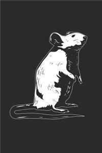 Mouse Drawing