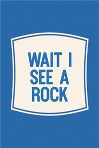 Wait I See A Rock