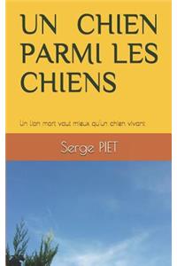 Un Chien Parmi Les Chiens