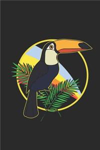 Toucan