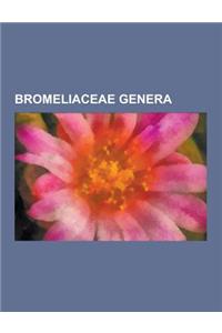 Bromeliaceae Genera: Aechmea, Alcantarea, Androlepis, Navia (Bromeliad), Tillandsia, Pitcairnia, Vriesea, Guzmania, Puya, Brocchinia, Neore