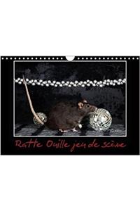 Ratte Ouille Jeu De Scene 2018